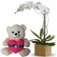 ORQUIDEA BRANCA+URSO 30cm "EU TE AMO"